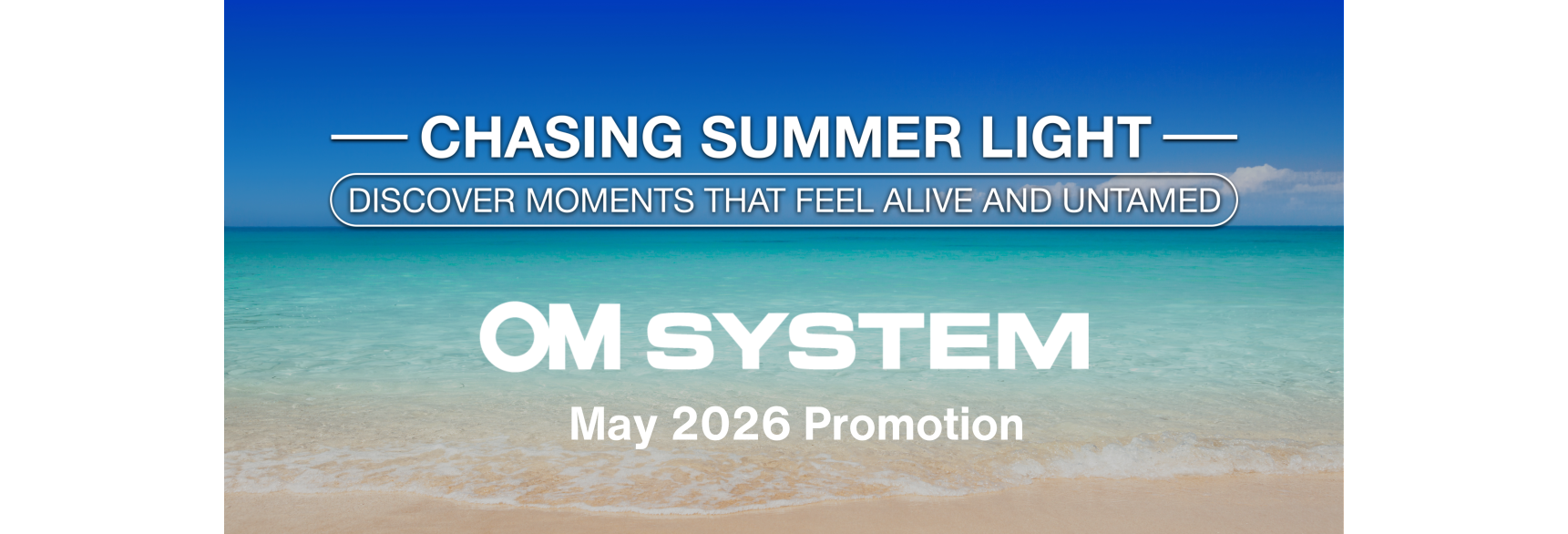 Chasing Summer Light: Capture Moments That Feel Alive & Untamed