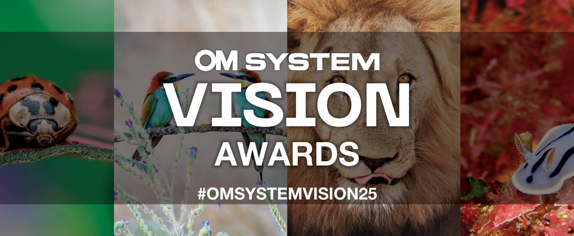OM SYSTEM Vision Awards 2025