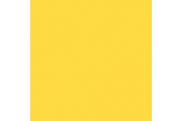 BD Backgrounds Daffodil 2.72m x 11m Seamless Paper
