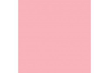 BD Backgrounds Pastel Pink 2.72m x 11m Seamless Paper