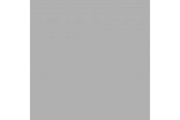 BD Backgrounds Plaza Gray 2.72m x 11m Seamless Paper