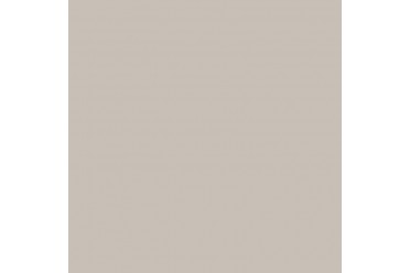 BD Backgrounds Photographer's Gray 2.72m x 11m Seamless Paper