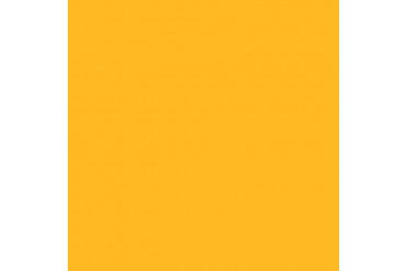 BD Backgrounds Marigold 2.72m x 11m Seamless Paper