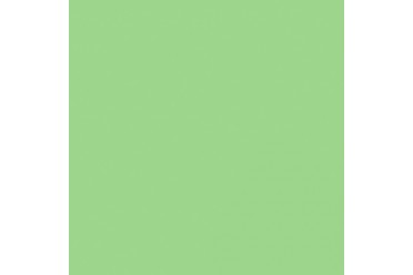 BD Backgrounds Spring Green 2.72m x 11m Seamless Paper