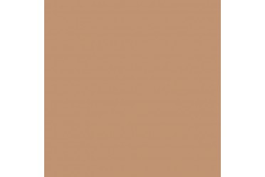 BD Backgrounds Latte 2.72m x 11m Seamless Paper