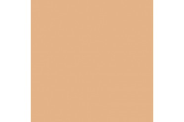 BD Backgrounds Cashmere 2.72m x 11m Seamless Paper