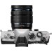 Interchangeable Lens Cameras