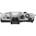 Interchangeable Lens Cameras